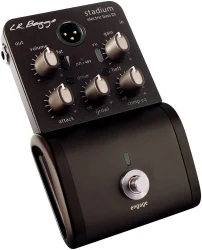 Lr Baggs Stadium DI в Москве c доставкой