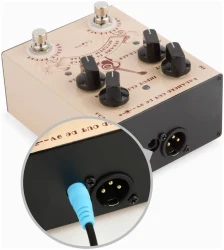 Caline CP-40 Preamp DI Box For Acoustic Guitar в Москве c доставкой