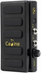 Caline CP-31P в Москве c доставкой