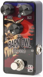 Caline G008 Barn Owl Reverb в Москве c доставкой