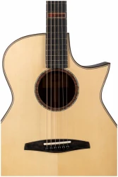 Altamira MPro-1 в Москве c доставкой