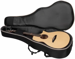 Altamira MPro-1 в Москве c доставкой