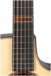 Altamira MPro-1 в Москве c доставкой