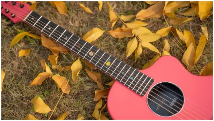 Natasha Asteroid Peach Pink в Москве c доставкой