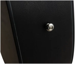 Flight D-145 BK в Москве c доставкой