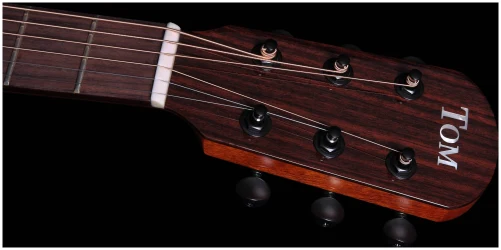 Tom GS-T1R в Москве c доставкой