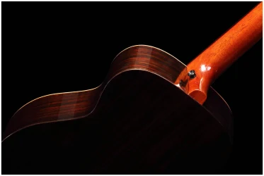 Tom GS-T1R в Москве c доставкой