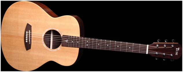 Tom GS-T1R в Москве c доставкой