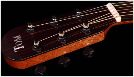 Tom GS-T1R в Москве c доставкой