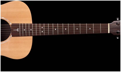 Tom GS-T1R в Москве c доставкой