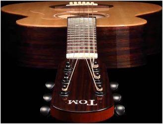 Tom GS-T1R в Москве c доставкой