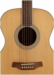 Adler OM100-SR в Москве c доставкой