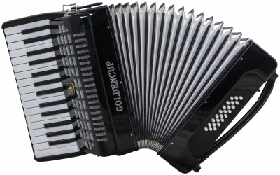 Golden Cup JH2024 BK в Москве c доставкой