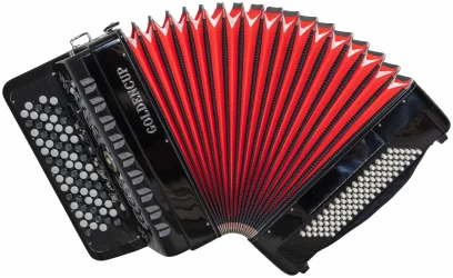 Golden Cup JH5096B BK в Москве c доставкой