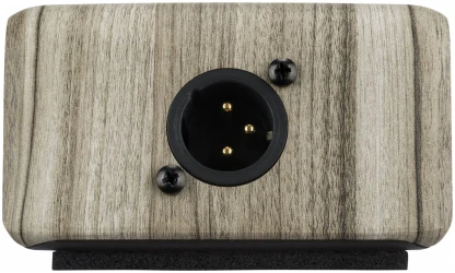 Lr Baggs Align Active DI в Москве c доставкой