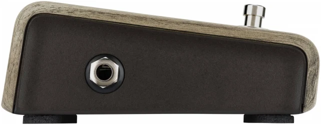 Lr Baggs Align Active DI в Москве c доставкой