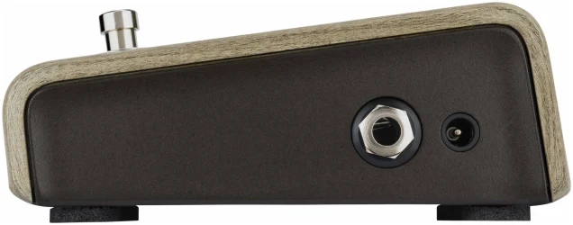 Lr Baggs Align Active DI в Москве c доставкой