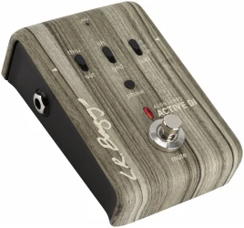 Lr Baggs Align Active DI в Москве c доставкой