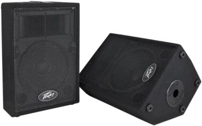 Peavey PVi™ 10 2-Way Speaker в Москве c доставкой