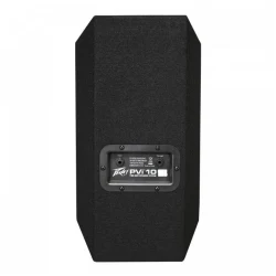 Peavey PVi™ 10 2-Way Speaker в Москве c доставкой