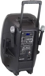Peavey PBK 15FM 100W активный комплект USB/FM/BLUETOOTH, аккум., микрофоны в Москве c доставкой