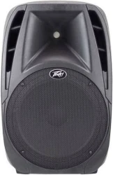 Peavey PBK 15FM 100W активный комплект USB/FM/BLUETOOTH, аккум., микрофоны в Москве c доставкой