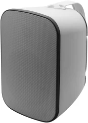 SVS Audiotechnik PAF-5W PRO в Москве c доставкой