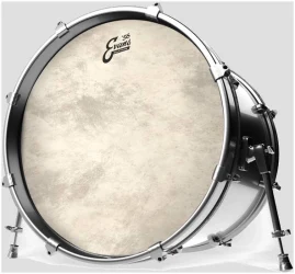 Evans BD20GB4CT в Москве c доставкой