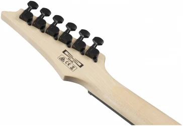 Ibanez GRG120QASP-BGD в Москве c доставкой