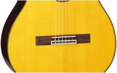 Takamine GC5CE NAT в Москве c доставкой