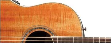 Ovation CS24P-FKOA Celebrity Standard Plus Mid Cutaway Figured Koa в Москве c доставкой