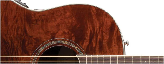 Ovation CS24P-NBM Celebrity Standard Plus Mid Cutaway Nutmeg Burled Maple в Москве c доставкой