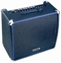 Soundking SKAK50GB в Москве c доставкой