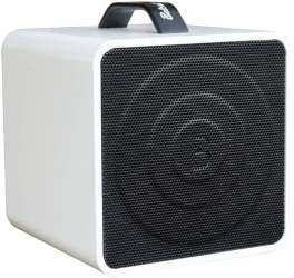Belcat Busker Box Acoustic 40 в Москве c доставкой