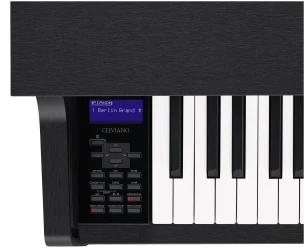 Casio GP-310 BK в Москве c доставкой