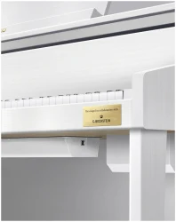Casio GP-310 WE в Москве c доставкой