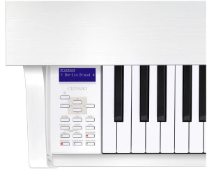 Casio GP-310 WE в Москве c доставкой