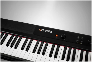Artesia Performer Black в Москве c доставкой