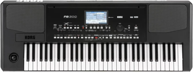 Korg Pa300 в Москве c доставкой
