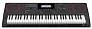 Casio CT-X5000 в Москве c доставкой