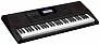 Casio CT-X3000 в Москве c доставкой