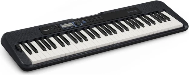 Casio CT-S300 в Москве c доставкой
