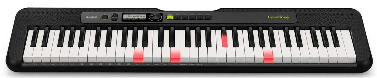 Casio LK-S250 в Москве c доставкой