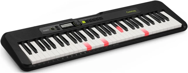 Casio LK-S250 в Москве c доставкой