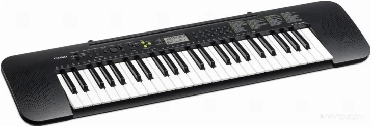 Casio CTK-240 в Москве c доставкой