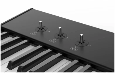 Studiologic SL88 Grand в Москве c доставкой