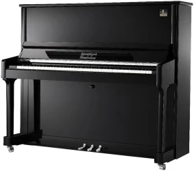 Wendl & Lung W130BL в Москве c доставкой