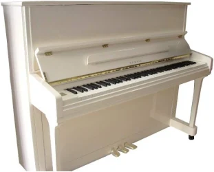 Samick JS121MD WHHP в Москве c доставкой