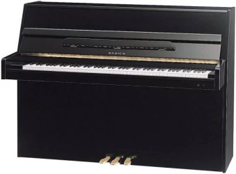 Samick JS043D EBHP в Москве c доставкой