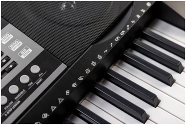 Veston SOLO-5561 L в Москве c доставкой